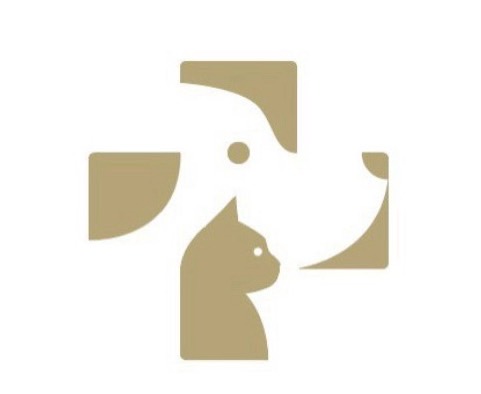 ホームページ開設のお知らせ
